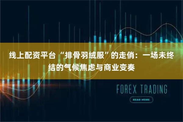 线上配资平台 “排骨羽绒服”的走俏：一场未终结的气候焦虑与商业变奏