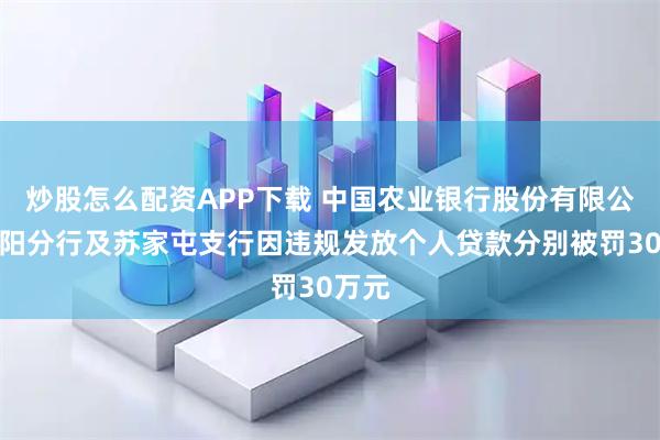 炒股怎么配资APP下载 中国农业银行股份有限公司沈阳分行及苏家屯支行因违规发放个人贷款分别被罚30万元
